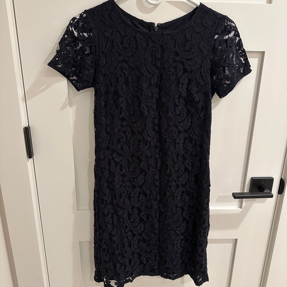Ann Taylor Round Neck Back Zip Lace Dress